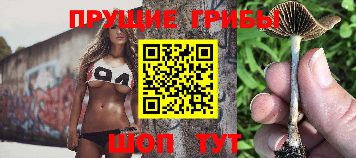 Псилоцибиновые грибы прущие грибы Шумерля