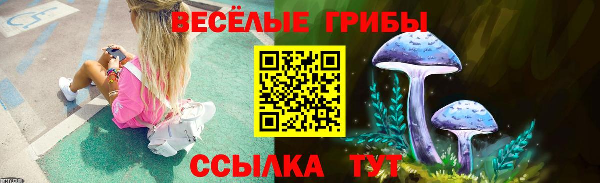Шумерля  Псилоцибиновые грибы GOLDEN TEACHER  Вход с VPN 